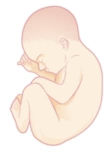 Week 28