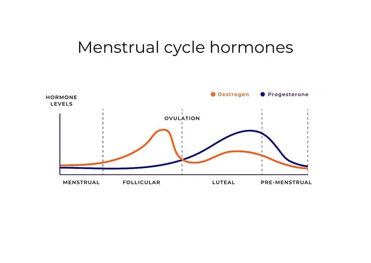 Menstrual cycle hormones
