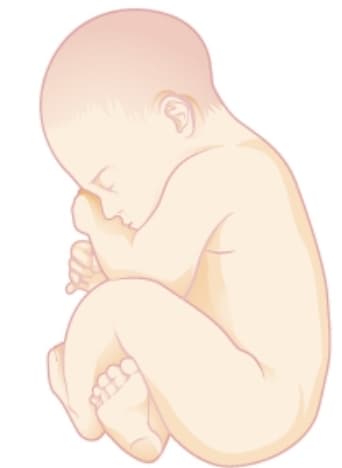 Oh my gosh finally a baby